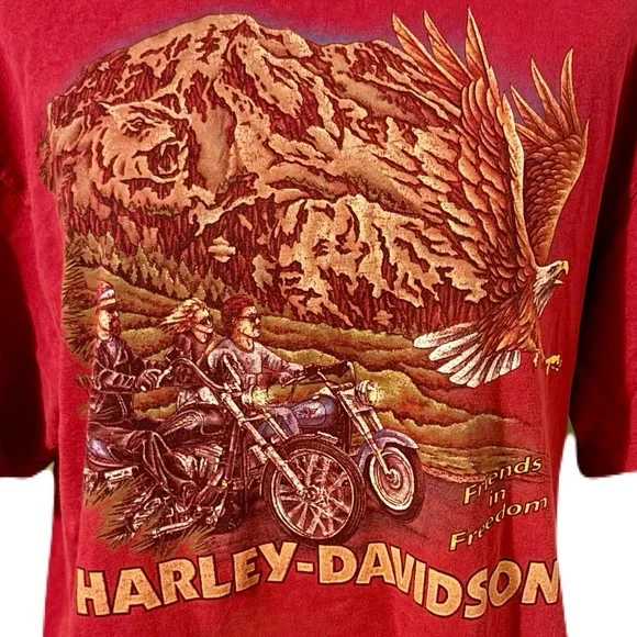 Harley-Davidson "Friends in Freedom" Vintage Lake Shore Waukegan Graphic Tee - Picture 3 of 6